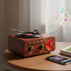 Haut-Parleur & Radio Tourne-Disque Vintage Bluetooth Sans Fil – Design Rétro Élégant & Son Stéréo