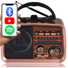 Radio Portable TNS® Au Design Classique – 3 Bandes – Bluetooth – USB – AUX – Carte SD – Portable