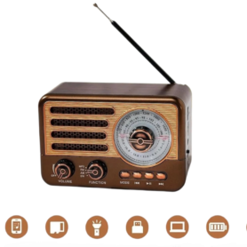 Baffle Radio Bluetooth Sans Fil Avec Boussole – Haut De Gamme – Réception Radio FM/AM/SW – Rechargeable – Lecteur MP3